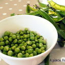 literarycurios-blog avatar