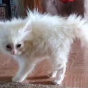 literaryexpllorer avatar