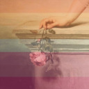 literaryhobbit avatar