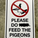 literarypigeon avatar