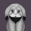 lithiumrabbit avatar