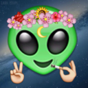 litlittlespacecadet avatar