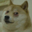 litter-is-bad avatar