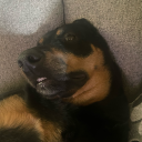 litterallyunhinged avatar