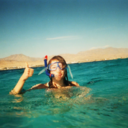 little---bird-blog avatar