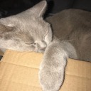 little---witch avatar