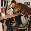 little-bear-conspirator avatar