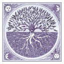 little-big-details avatar