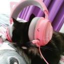 little-birthday-boy avatar