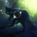 little-cat-99 avatar