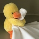 little-cloudy-ducky avatar