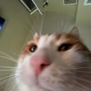 little-clown-boy avatar