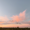 little-de-vil avatar