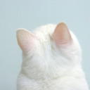 little-delicacies avatar