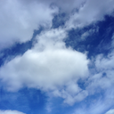 little-engine-fitblr avatar