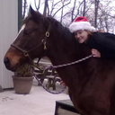 little-flight avatar