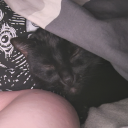 little-gay-shit avatar