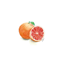 little-grapefruit avatar