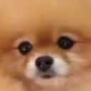 little-lady-trashcan avatar