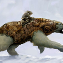 little-lambchop avatar