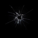 little-lost-girl01 avatar