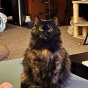 little-lost-little-soft avatar