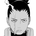 little-miss-birdie avatar