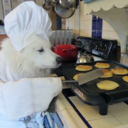 little-mochi-chan avatar