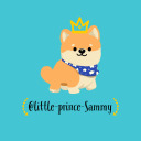 little-prince-sammy avatar