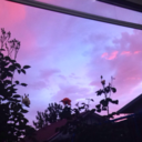 little-sanity avatar