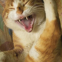 little-saturday3 avatar