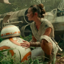 little-sunshine-rey avatar