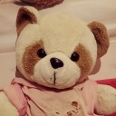 little-teddy avatar