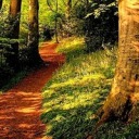 little-wingxo avatar