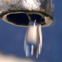 little-witch7890 avatar