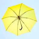 little-yellow-umbrella avatar