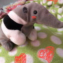 littlearmadillos avatar