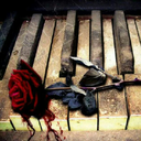 littleartistandwhatever avatar