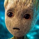 littlebabygroot avatar