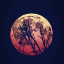 littlebarofsoap avatar