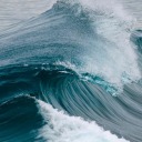 littlebeachgirrrl avatar