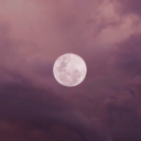 littlebithell avatar