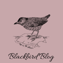 littleblackbirdblog avatar