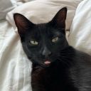 littleblackdot avatar