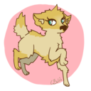 littleblondewolf avatar