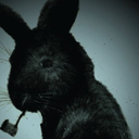 littlebluerabbit805 avatar