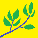 littlebluetwig avatar