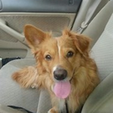 littleboojean avatar