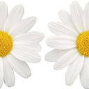 littlebootybitch avatar