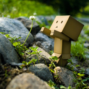 littleboxboy-blog avatar